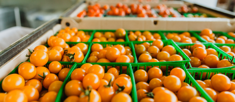 Photo of cherry tomatoes