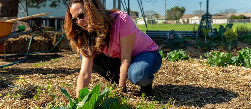 Person spreading mulch in a community garden