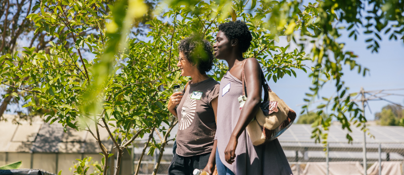 People walking through a garden