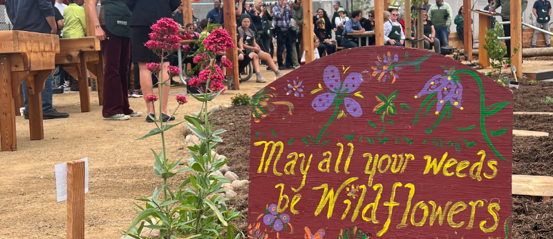 "May all your weeds be wildflowers" sign at community garden