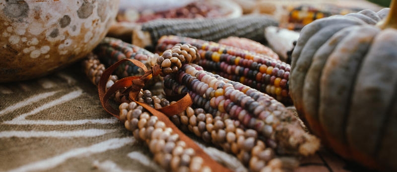 Heirloom maize, gourds, and squash